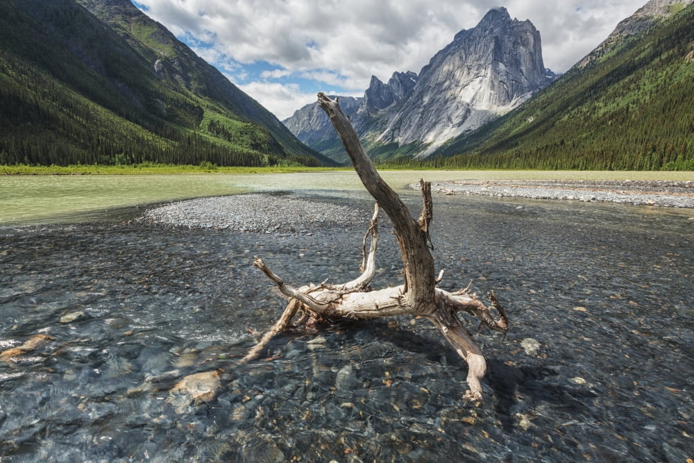 A Clear Stream Flows Into Glacier Lake In Front Of Mount Harrison Smith Northwest Territories Canada Canvas Art - Robert Postma Design Pics (38 x 24)