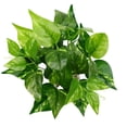 thumbnail image 1 of Clear Texture Artificial Leaf Fadeless Plastic Floral Arrangement Simulation Plant Home Decor, 1 of 7