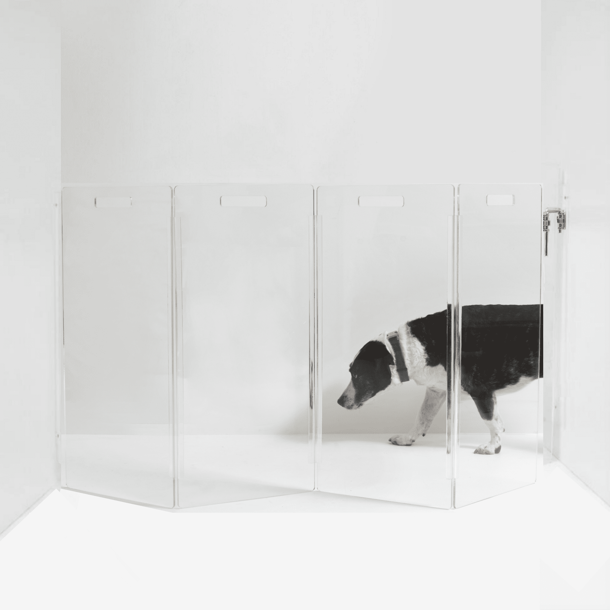 Clear Acrylic Zig Zag Wall Mounted Pet Gate with Metal Latch