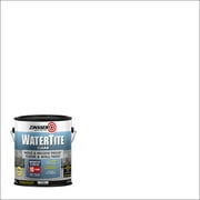 Clear, Zinsser WaterTite Matte Mold and Mildew-Proof Floor and Wall Paint, 1 Gallon, 2 Pack