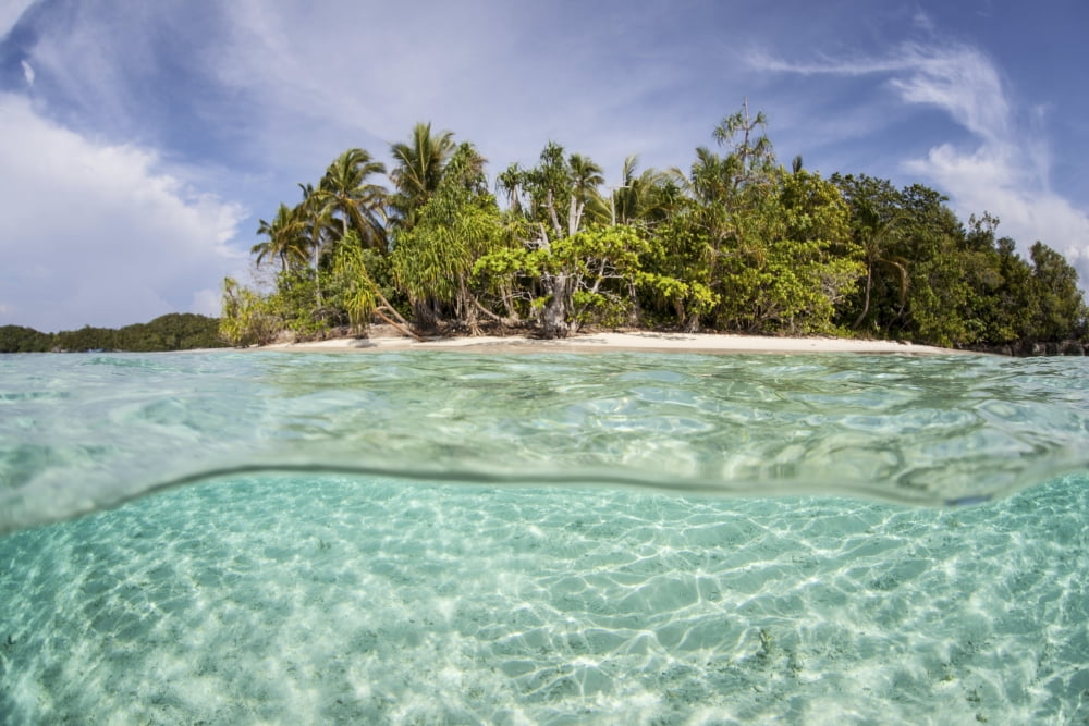 Clear waters surround a remote island in Raja Ampat Indonesia Canvas Art - Ethan DanielsStocktrek Images (17 x 12)