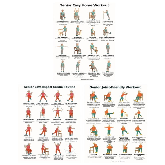 Clearance Under $1.04! 1PC Seated Exercise Poster Set, Chair Workout Chart for Elderly & Beginners, Frameless Fitness Guide, Paper, for Home Gym & Senior Wellness, 25.4x20.3cm, White