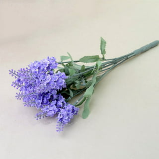 Lavender Bundle Natural Dried Flower Purple Lavender Bouquet for Home Party  Wedding Decoration Bouquet, 1 Pack 
