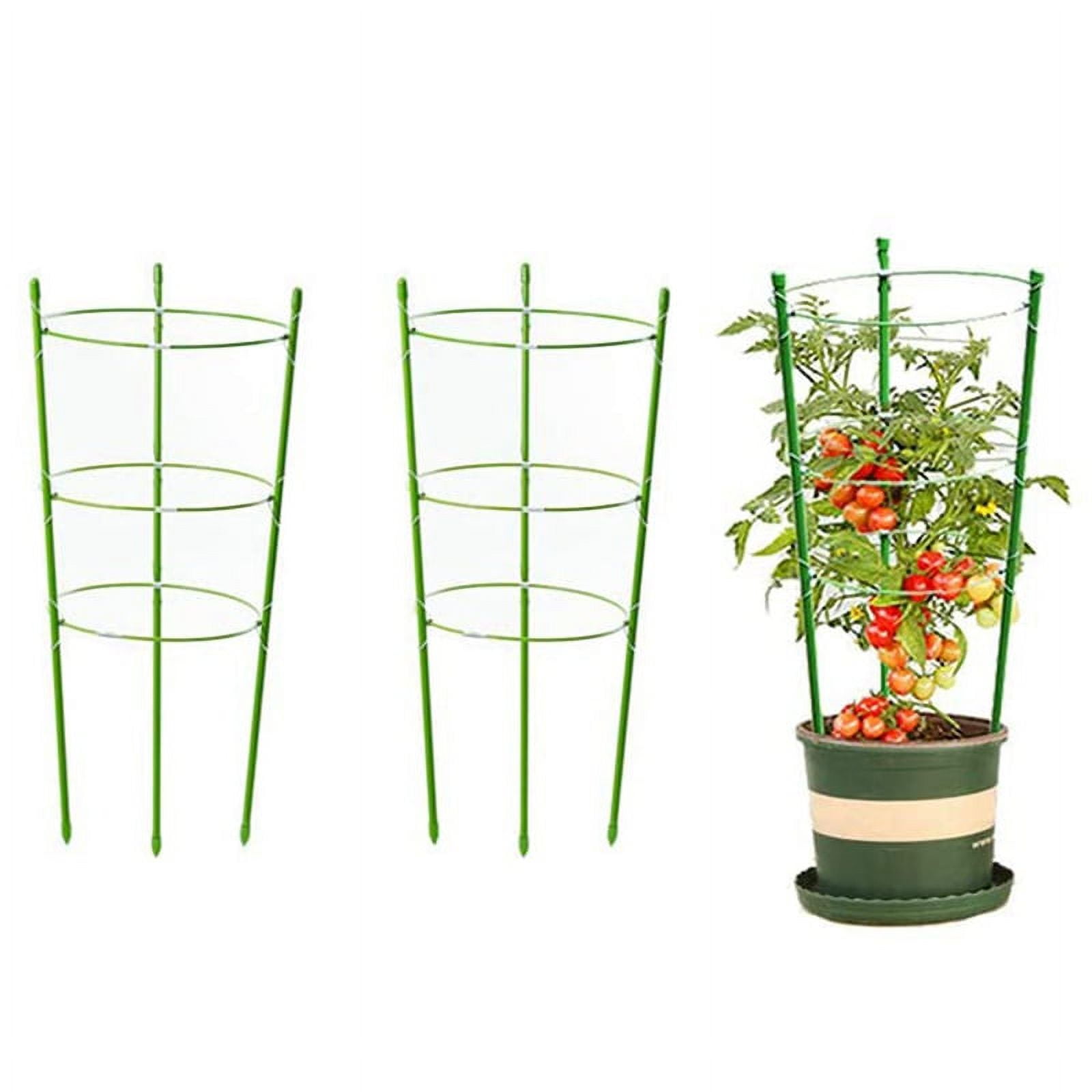 Clearance!2 Pieces Plant Support Cage Rust Resistant Garden Plant ...