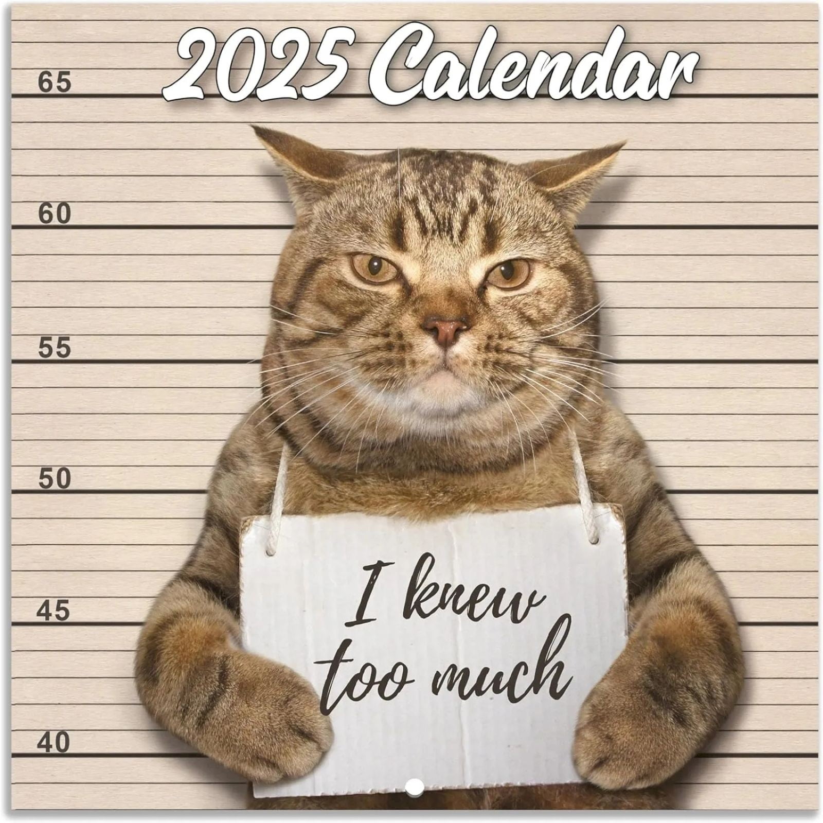 Clearance 2025 Wall Calendar JAN. 2025 DEC. 2025 Funny Cat Calendar