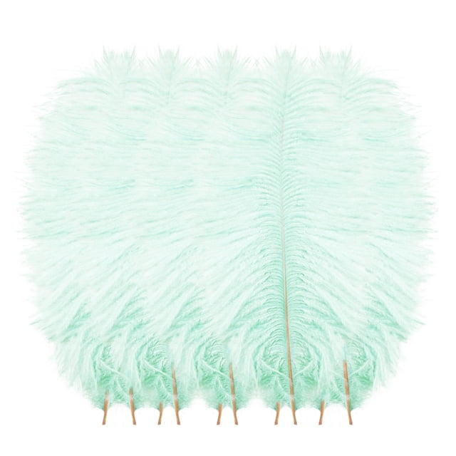 Clearance Under $3 Pedty 10 Feathers,10 Pcs Multicolor Plumage For ...
