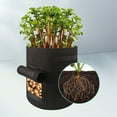 thumbnail image 1 of Clearance Under $5 Boovnll Grow Bags, 7 Gallon Large Capacity Heavy Duty Breathable Flowers Plants Potato Grow Bags with Handle for Garden, Terrace, Farm, Vegetables, Grains, Fruit, Grow Bag, 1 of 7