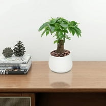 Clearance Under $5 Boovnll Plastic Vase, Home Modern Decor Matte Finish Pampas Grass Vase, Flower Vase for Home, Office, Kitchen, Table, Fireplace, Shelf, Living Room Table Decor, Vase