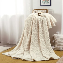 Mainstays Plush Throw Blanket, 50