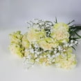 thumbnail image 1 of Antqov Artificial Flowers, Fake Peony Hydrangea Bouquet Plastic Carnations Realistic Fake Flower Arrangements Wedding Home Decor Gifts for Mom, 1 of 2