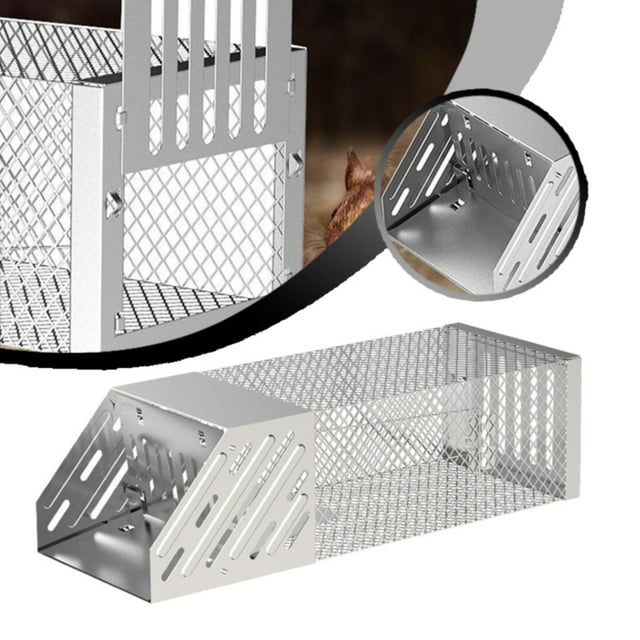Clearance! Aoorsake Stainless Steel Squirrel Trap Cage Catch & Release For Set Outdoor & Indoor Mouse Traps Bug Catcher Fly Swatter Silver