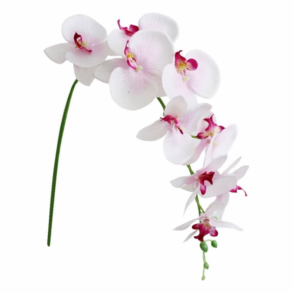 Clearance Artificial flowers under $1,Flowers Butterfly Orchid 1 Pc Real Double Branch Silk Flowers For Wedding Home Office Party Hotel Yard Decoration Restaurant Patio Festive Furnishing