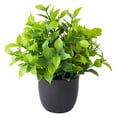 thumbnail image 1 of Clearance Artificial flowers under $1,Small Potted Plants Artificial Greenery For Home Decor Artificial Potted Plant Decoration Plant Combination Indoor Tabletop Decoration, 1 of 9