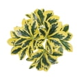 thumbnail image 1 of Clearance Artificial flowers under $1,Realistic Artificial Plants Outdoor Artificial Plants Porch Decor, 1 of 6