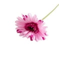 thumbnail image 1 of Clearance Artificial flowers under $1,Spring Artificial Bouquet Handmade DIY Craft Flowers For Style Home Decoration, 1 of 9