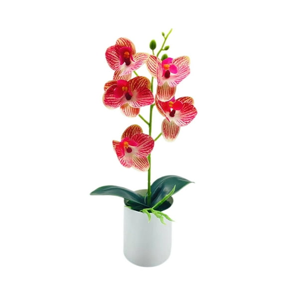 (Clearance) BNNG Phalaenopsis Orchid Artificial Flowers Included Vase Faux Plant Potted for Indoor Home Decor Office Bathroom Wedding Decoration Table Centerpiece Arrangements Ornaments