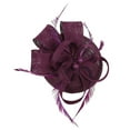 thumbnail image 1 of Clearance! Baberdicy Handmade Women Hair Clip Feather Wedding Casual Fascinator Headpieces Purple, 1 of 6