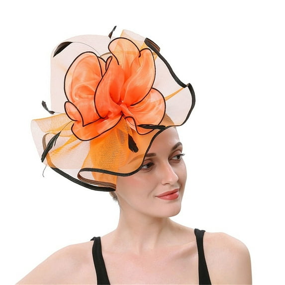 Baberdicy Women's Dual Fascinator - Clip & Headband Convertible - Wedding/Church Hat - Feather & Mesh Design - Value Pack D,One Size