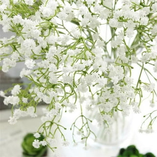 Babys Breath Artificial Flowers, 12PCS Fake Flowers Gypsophila Bouquet Fall  Flowers Artificial for Decoration, Real Touch Silk Flower for Wedding