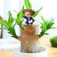 Clearance!Brazilian Wood Plant Monk Doll Decor, Portable Resin Ornament Potted, Mini Brazil Lucky Wood Plant Potted Little Monks Ornament for Indoor Office Desktop Plant Decoration