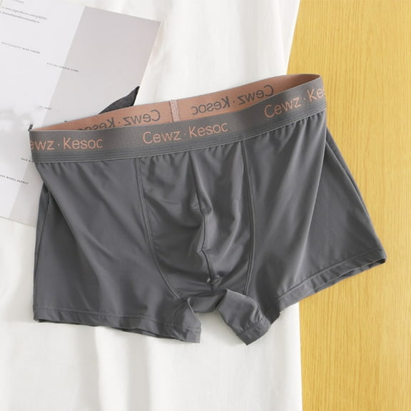 Clearance Clothes Under $5.00 TMOYZQ Mens Ice Silk Boxer Briefs Breathable Moisture-Wicking Performance Stretch Underpants Soft Tag-Free Briefs in Plus Size (L-4XL)
