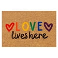 thumbnail image 1 of Clearance Colorful Gay Letter Doormats Funny Door Mats Outdoor Welcome Doormats Entrance Rug Farmhouse Decor Home Kitchen Floor Summer Door Mats Washable Low-Profile Inside Entry Doormats for Entryway, 1 of 4