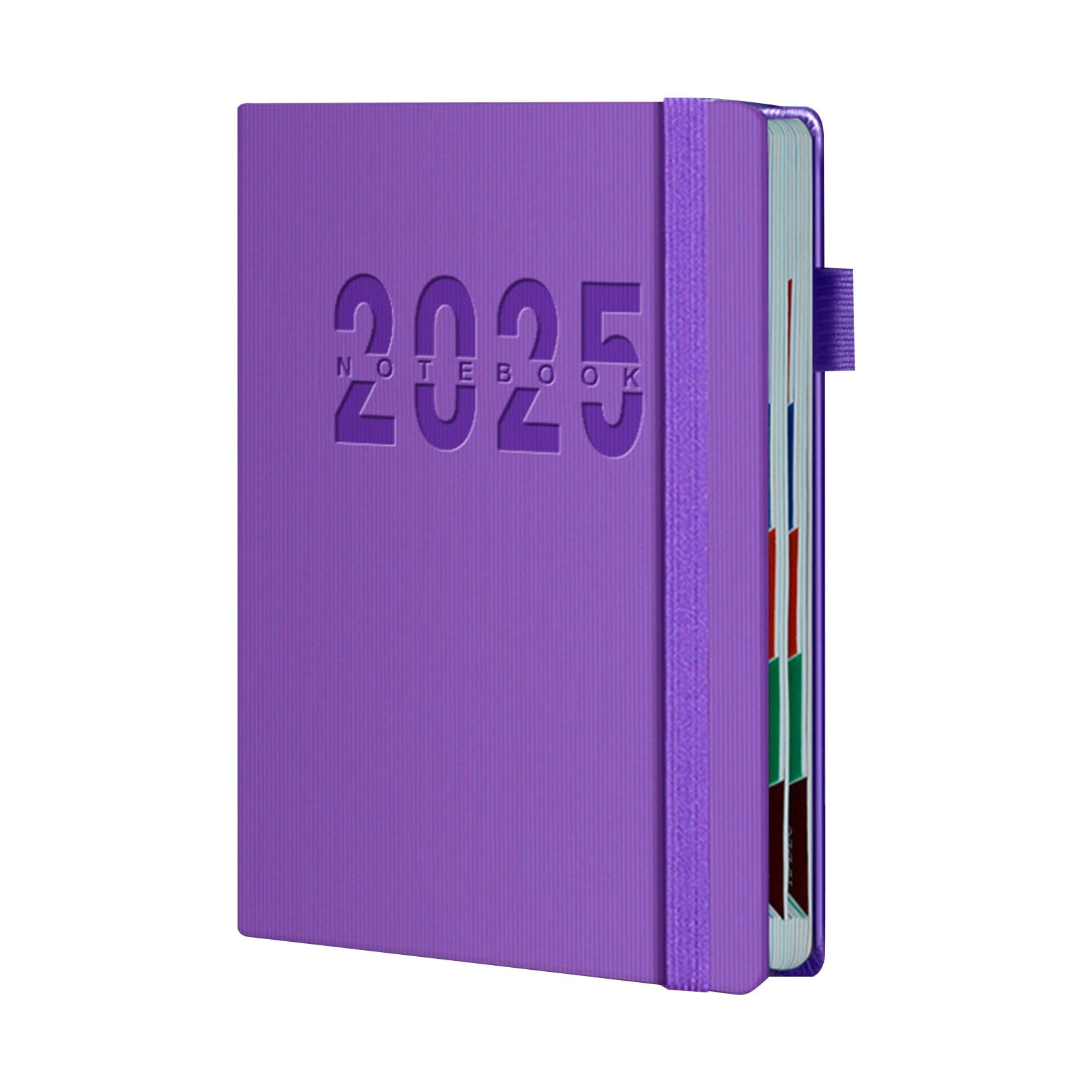 Clearance Deal 2025 Academic Planner 2025 Monthly Tabs Daily Organizer Twin Wire Binding Pocket