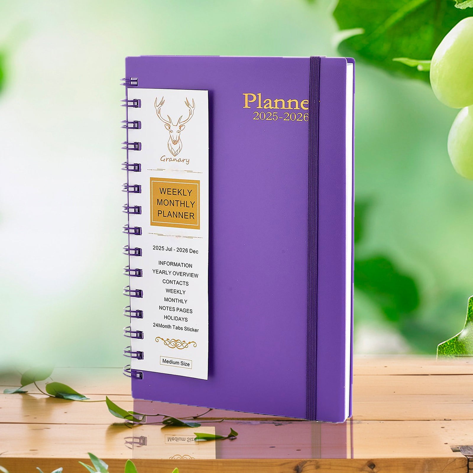 Clearance! Denhf 20252026 Weekly and Monthly Academic Year Planner