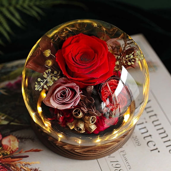 Clearance Desktop Ornament Preserved Real Flowers For Her Women Wife Mom Forever Fresh Roses In Glass Dome With LED Lights For Home Decor For Valentines Mothers Day Christmas Wedding
