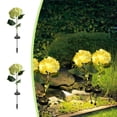 thumbnail image 1 of Djunllk Solar Lights Outdoor 2 Pack, Solar Flowers Lights Outdoor Garden Waterproof Hydrangea Auto On/Off Lighting Beautiful Patio Decor Gifts for Women, 1 of 6
