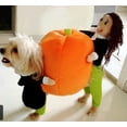 thumbnail image 1 of Clearance!Dog Clothes,Design A Unique Costume For Your Pet Turn Into Funny Clothes, 1 of 1
