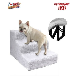 Dog show ramp for cheap sale