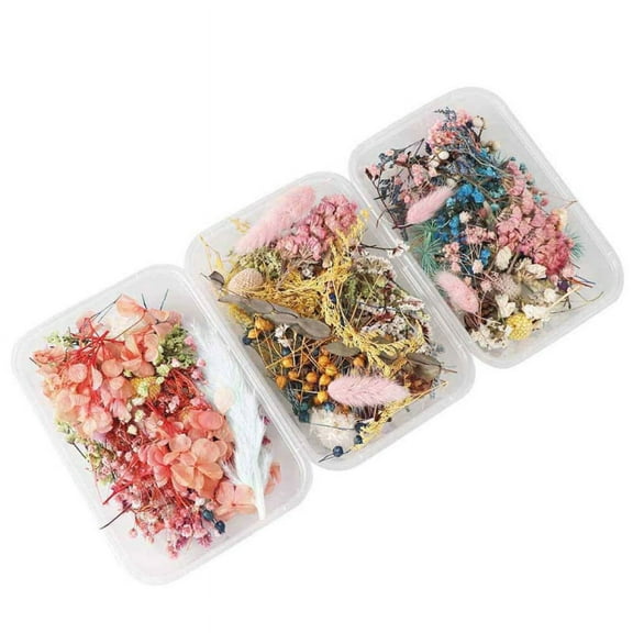 Clearance! Dried Flower DIY Material,Natural Dried Flower Herbs Kit for Bath, Soap Making,Candle Making - 9Bag Include Dried Lavender,Rose Petals, Jasmine Flower, Gomphrena Globosa and More