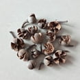 thumbnail image 1 of Clearance Dried Flowers, Natural Dried Flower Herbs Kit for Bath, Soap Making, Candle Making - DIY Scented Candle Accessories, 1 of 1