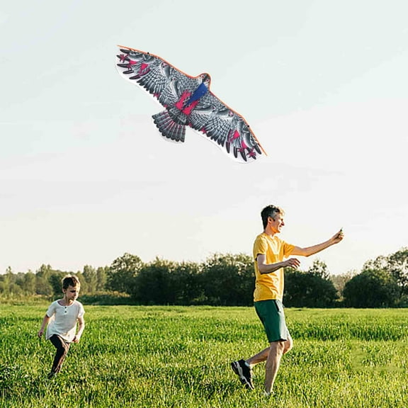 Clearance! Eagle Kite,for Kids and Adults,Easy to Fly,Excellent Fabric and Structure Design,The Pictures are Beautiful in high Definition,Suitable for Beginners(43.3inches)