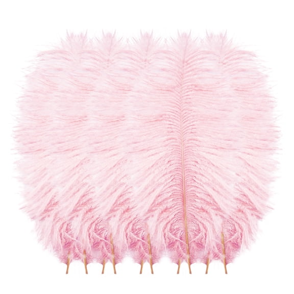 Clearance! Fdelink Feathers Decoration 10 Pcs Multicolor Plumage for Wedding Party Centerpieces Flower Arrangement Home Decoration Diy Big Floating Plume Hair Craft Decoration Wedding Plumage