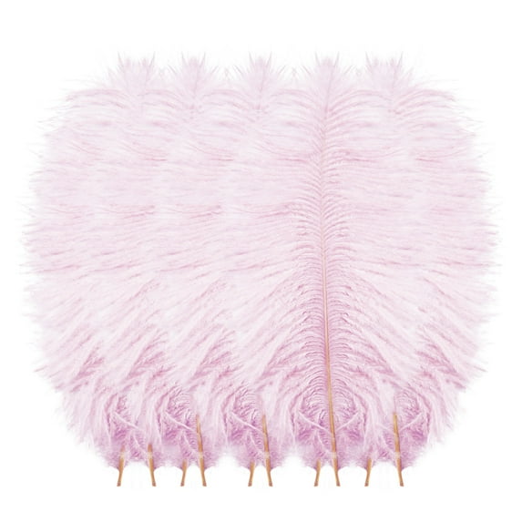 Clearance! Fdelink Feathers Decoration 10 Pcs Multicolor Plumage for Wedding Party Centerpieces Flower Arrangement Home Decoration Diy Big Floating Plume Hair Craft Decoration Wedding Plumage