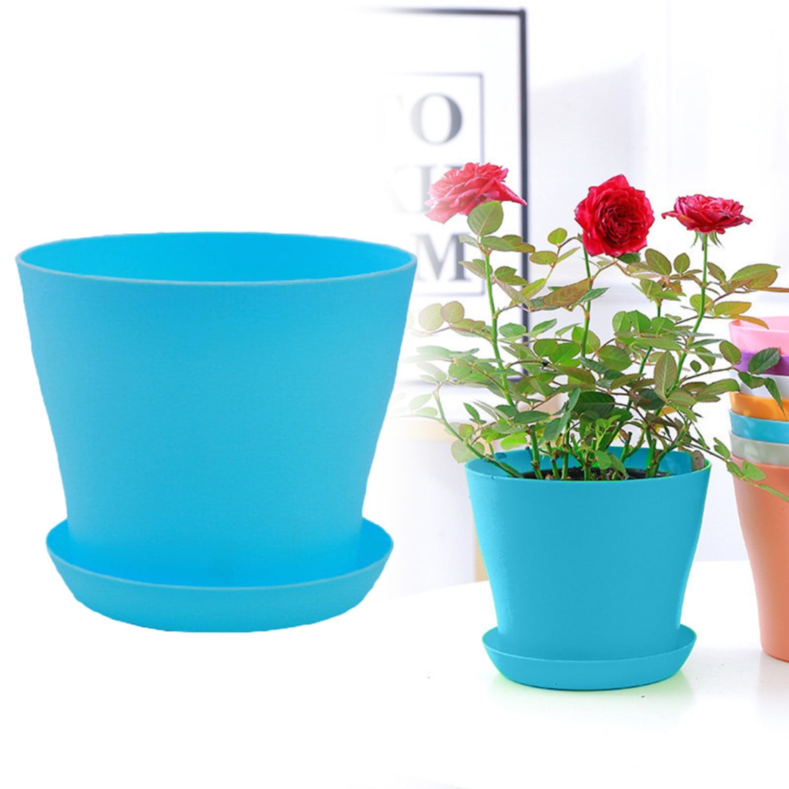 Clearance Flower Pots Planters Plants Planter Flower Pots House Plant