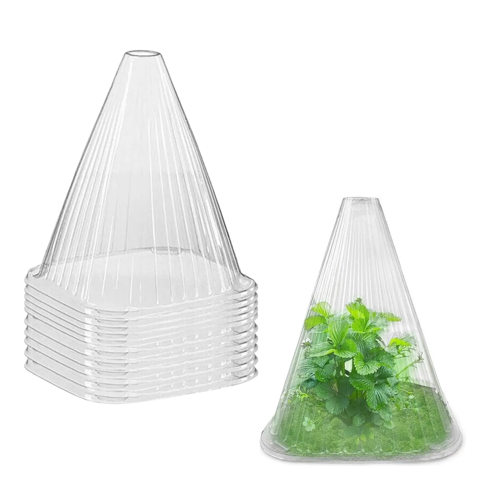 Clearance！ Garden Plant Bell Jar Reusable Bell Shaped Plant Mulch
