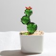 thumbnail image 1 of Gmogad Glazed Ceramic Cactus Ornament - Office & Home Decor, Durable Handcrafted Potted Plant, Green Aesthetic Gift for Desk, Shelf, Indoor Decoration, 1 of 6