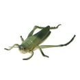 thumbnail image 1 of Clearance! Gnoleg Home Decor Grasshopper Model Large Realistic Sculpture Outdoor Garden Statue for Yard Art and Educational Toy, 1 of 6