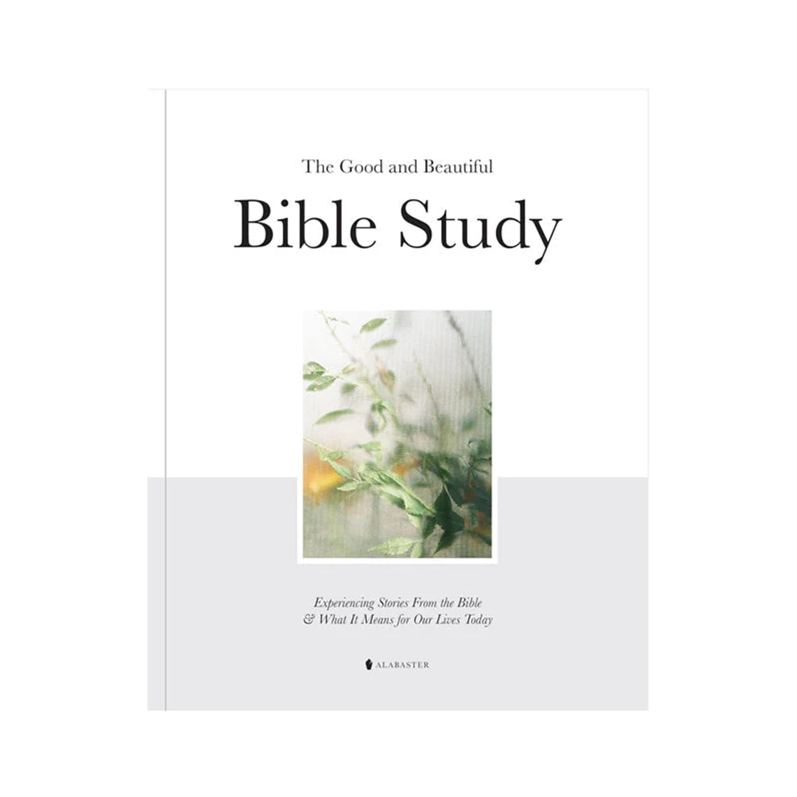 The Good and Beautiful Bible Study in White Softcover