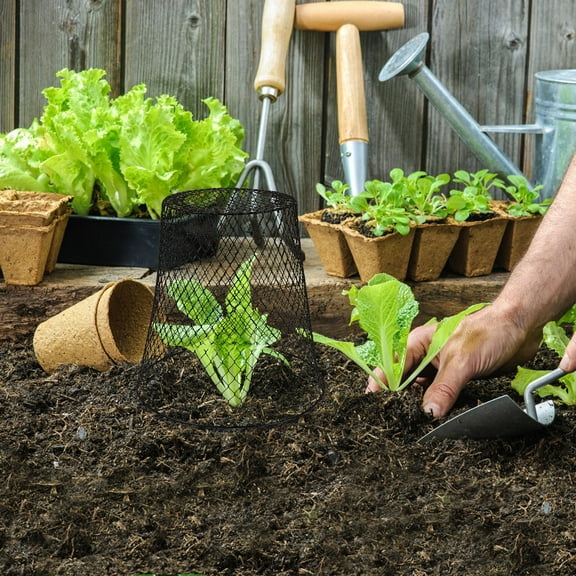 Clearance! Haidf Garden Cloches for Plants, Plant Protector, Chicken Wire Plant Covers, Plant Covers from Animals, Metal Plant Cages for keep Bunnies Birds Out, Wire Plant Protector Cage, Black
