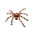 thumbnail image 1 of Hvmvliv Halloween Giant Fake Spider Giant Halloween Hairy Spider Realistic Scary Colorful Spider Props Decoration For Indoor and Outdoor Decoration (200cm), 1 of 3