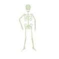 thumbnail image 1 of Clearance! Halloween Hanging Decor Realistic Luminous Skeleton Outdoor Yard Decoration Glow, 1 of 4