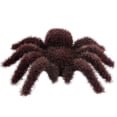 thumbnail image 1 of Halloween Realistic Hairy Fake Spiders, 3.7x4.5 inch Spiders Scary Joke Prank Toy for Halloween Decoration, Funny Halloween Fake Spiders Decoration (Dark Brown 1pc), 1 of 9