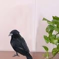 Clearance! Huayishang Simulation Black Crow Feather Animal Halloween