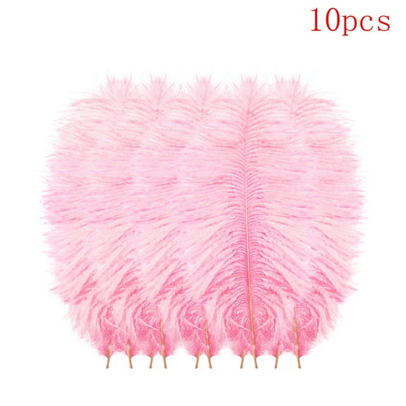 Clearance Items!Feathers,Ostrich Feathers,10 Pcs Multicolor Plumage for Wedding Party Centerpieces Flower Arrangement Home Decoration Plume Hair Craft Decoration Wedding Plumage (Pink)