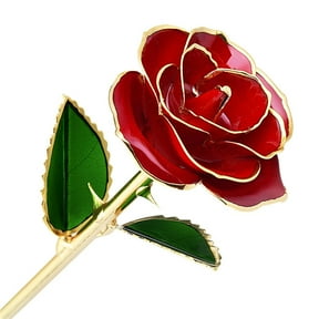 Clearance Items Gold Dipped Rose with Transparent Stand, Real Long-Stem Gold Rose Flower, Romantic Gift for Her, Mom, Wife, Anniversary, Mother's Day, Birthday, Valentine's & Wedding