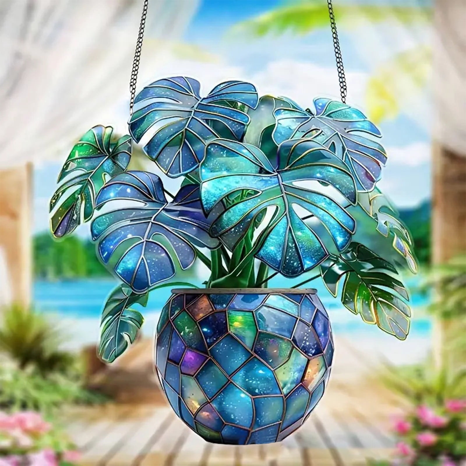 polka dot plant Hypoestes 'Polka Dot' main image 1